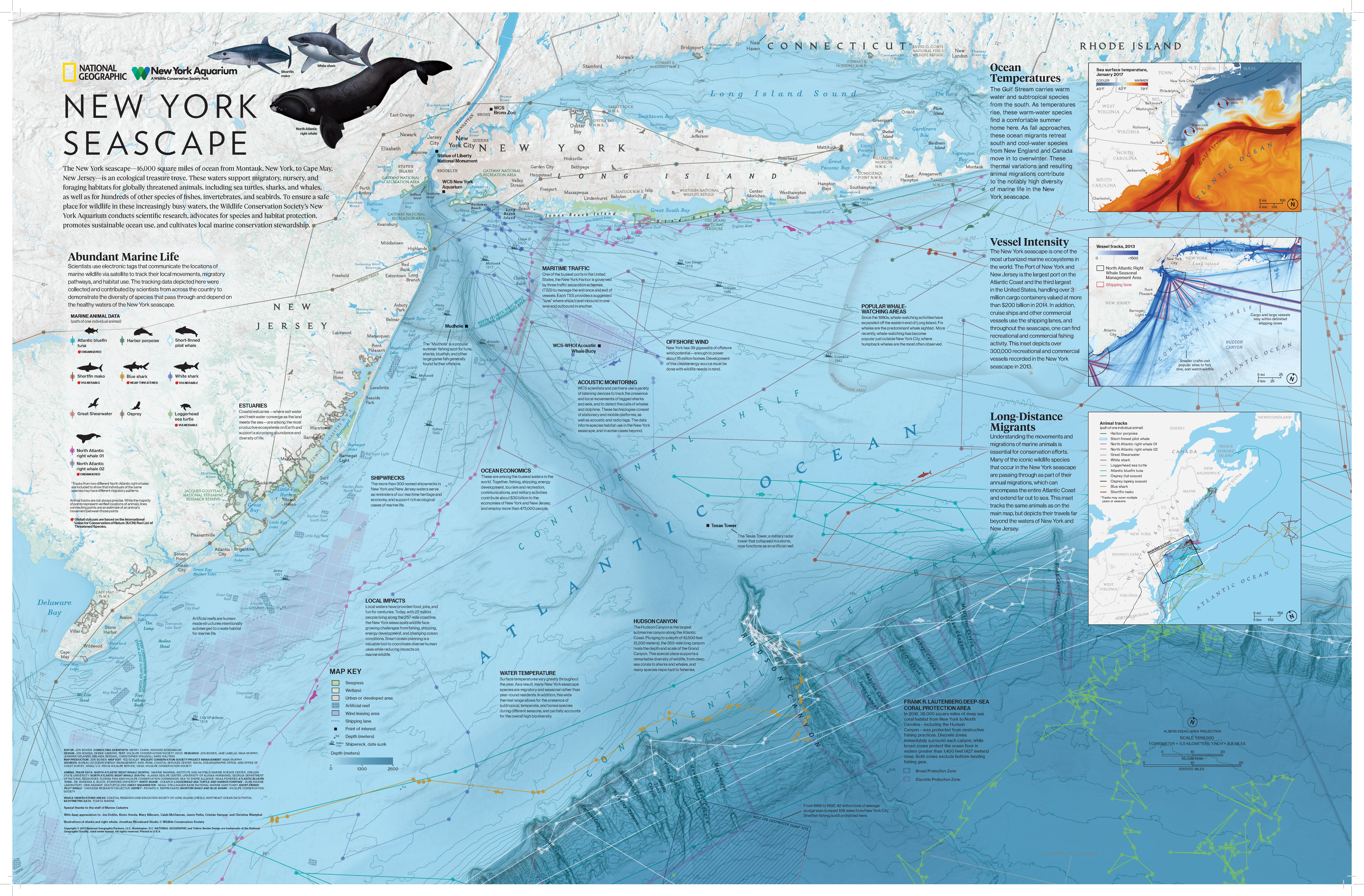 New York Seascape Final