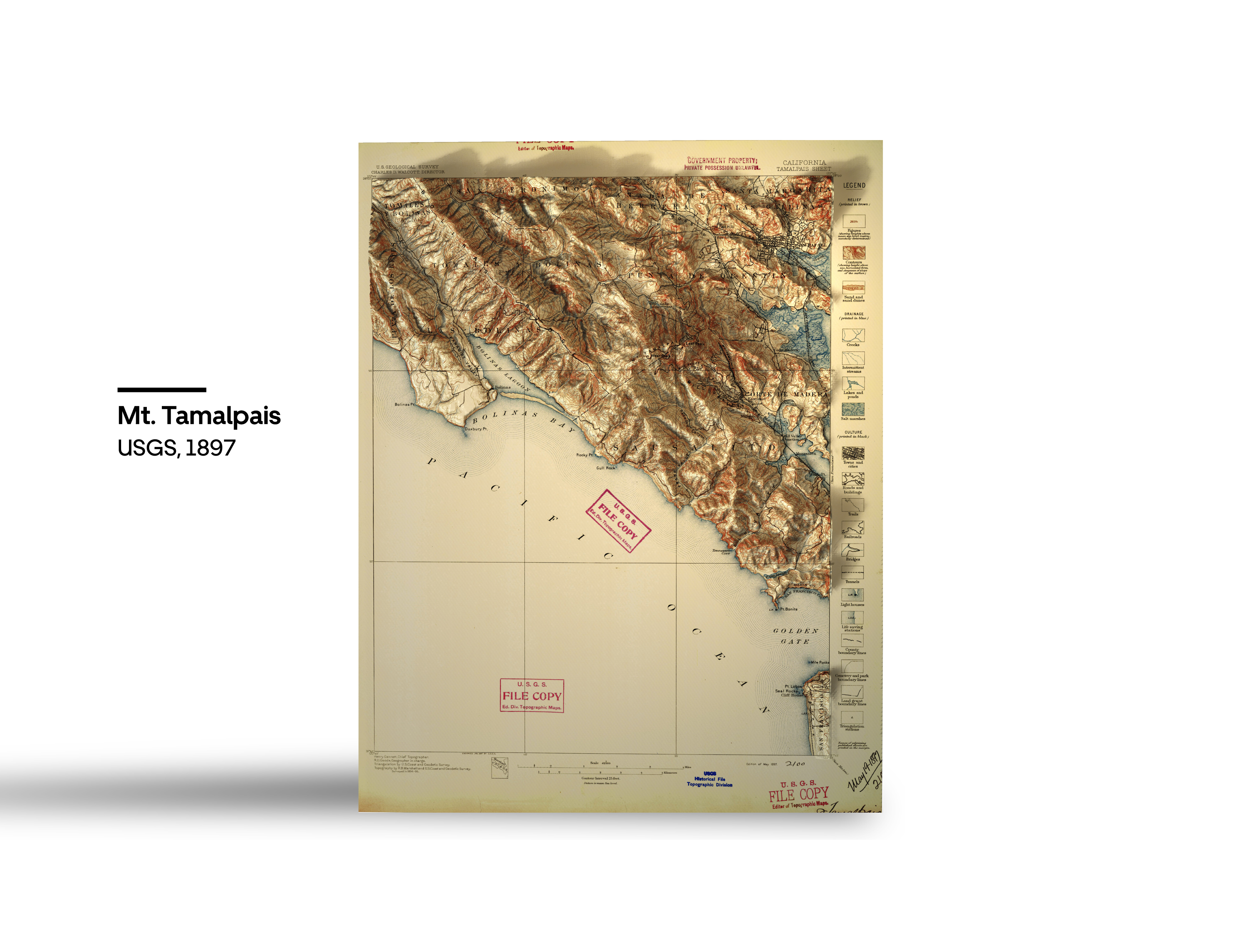 Artboard 1@2x-100.jpg